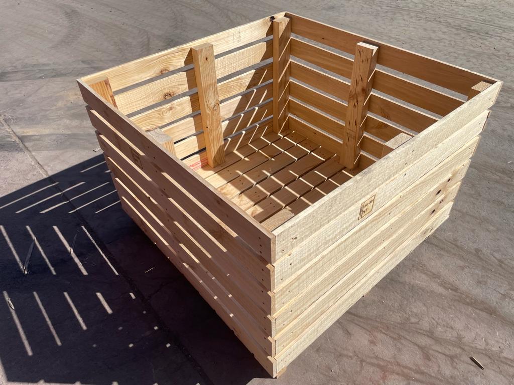 Citrus Fruit Bin